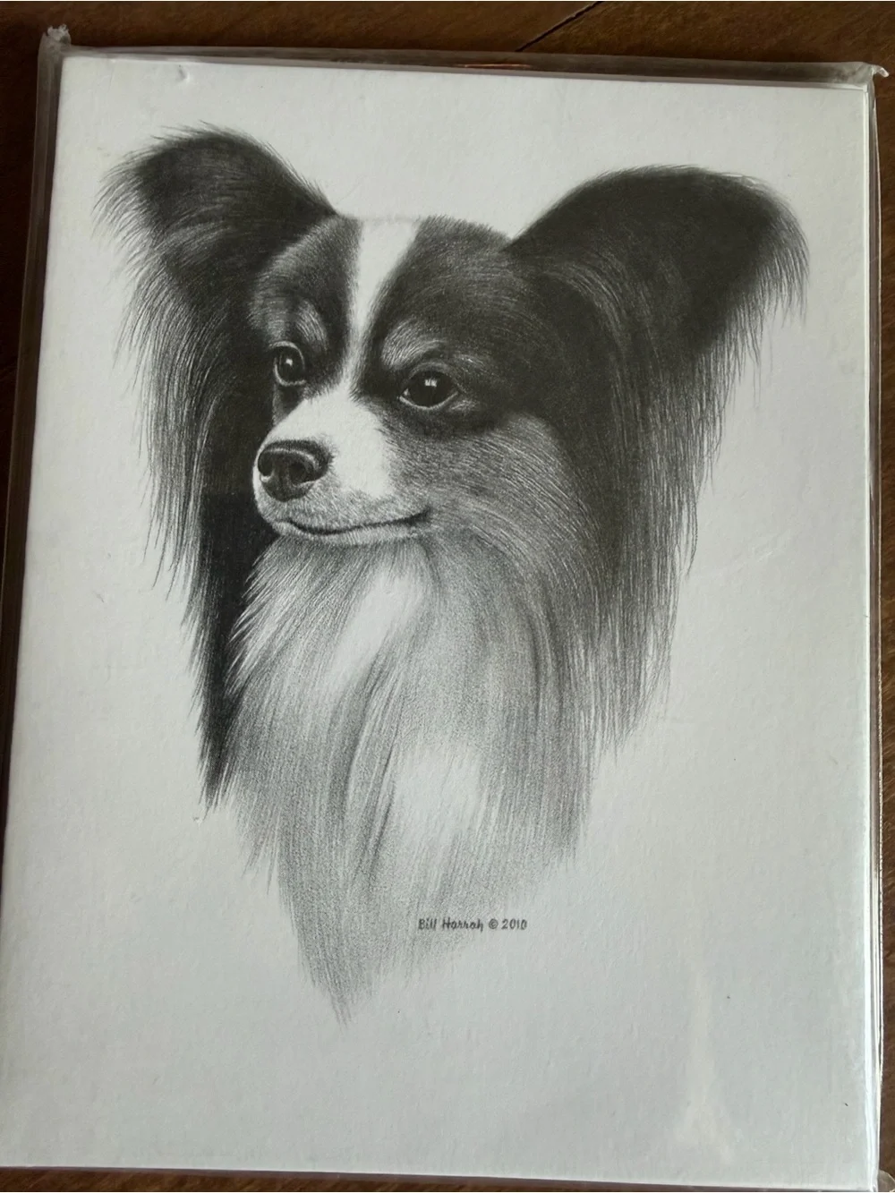 Papillon Dog Note Cards (8) Fine Art Drawing - Bill Harrah 2010